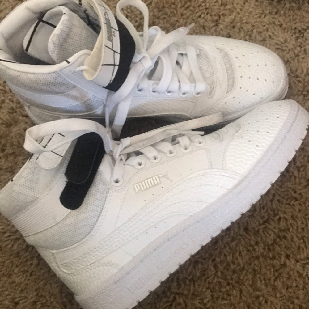 Puma sky